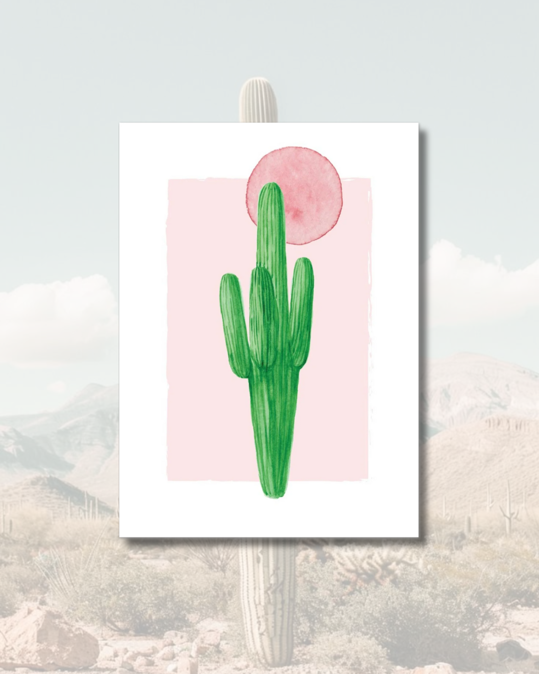 Pink Cactus Sun
