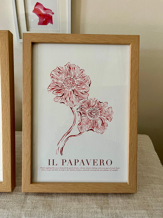 Il Papavero Fine Art Print