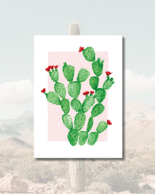 Pink Desert Cactus